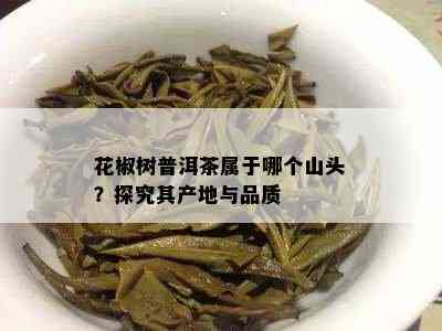 花椒树普洱茶属于哪个山头？探究其产地与品质