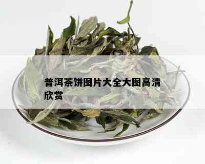 普洱茶饼图片大全大图高清欣赏