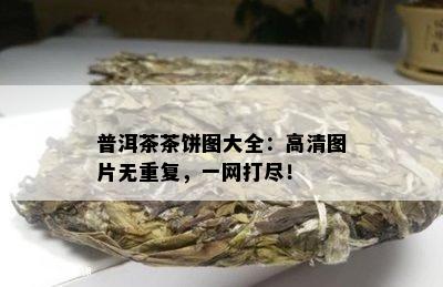 普洱茶茶饼图大全：高清图片无重复，一网打尽！