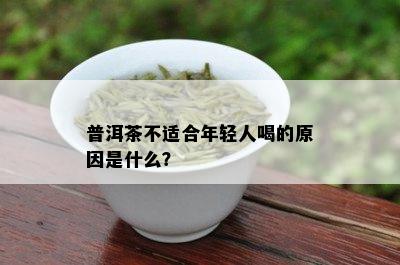 普洱茶不适合年轻人喝的原因是什么？