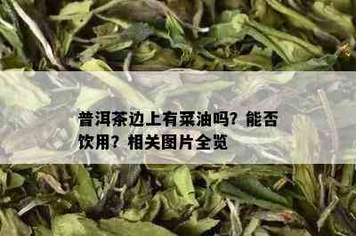 普洱茶边上有菜油吗？能否饮用？相关图片全览