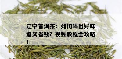 辽宁普洱茶：如何喝出好味道又省钱？视频教程全攻略！