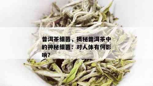 普洱茶细菌，揭秘普洱茶中的神秘细菌：对人体有何影响？