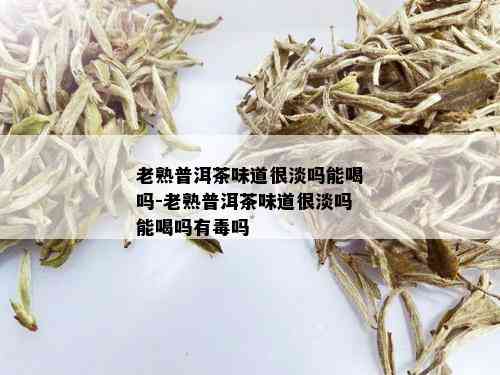 老熟普洱茶味道很淡吗能喝吗-老熟普洱茶味道很淡吗能喝吗有吗