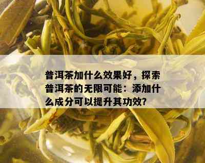 普洱茶加什么效果好，探索普洱茶的无限可能：添加什么成分可以提升其功效？