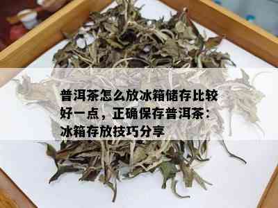 普洱茶怎么放冰箱储存比较好一点，正确保存普洱茶：冰箱存放技巧分享