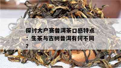 探讨大户赛普洱茶口感特点：生茶与古树普洱有何不同？