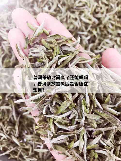 普洱茶放时间久了还能喝吗，普洱茶放置久后是否适宜饮用？