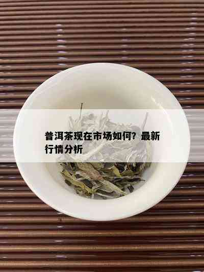 普洱茶现在市场如何？最新行情分析