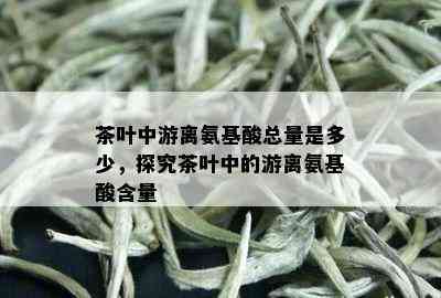 茶叶中游离氨基酸总量是多少，探究茶叶中的游离氨基酸含量