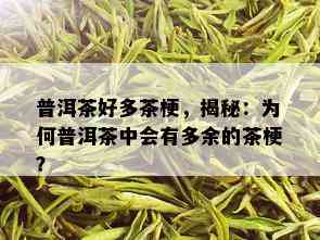 普洱茶好多茶梗，揭秘：为何普洱茶中会有多余的茶梗？