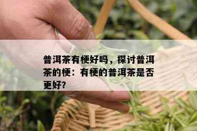 普洱茶有梗好吗，探讨普洱茶的梗：有梗的普洱茶是否更好？