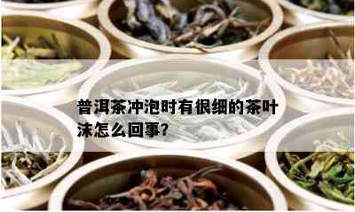 普洱茶冲泡时有很细的茶叶沫怎么回事？