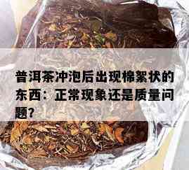 普洱茶冲泡后出现棉絮状的东西：正常现象还是质量问题？