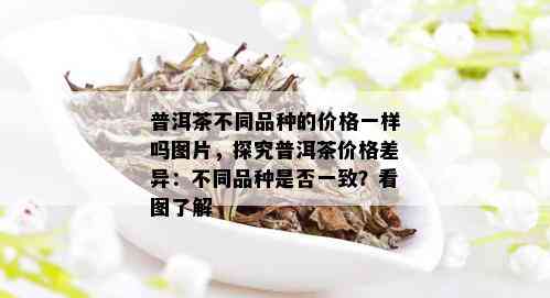 普洱茶不同品种的价格一样吗图片，探究普洱茶价格差异：不同品种是否一致？看图了解