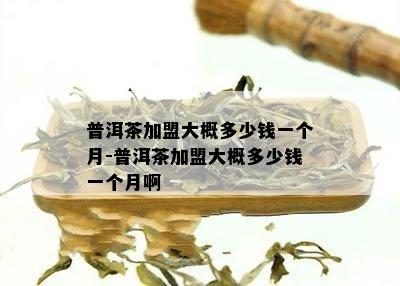 普洱茶加盟大概多少钱一个月-普洱茶加盟大概多少钱一个月啊