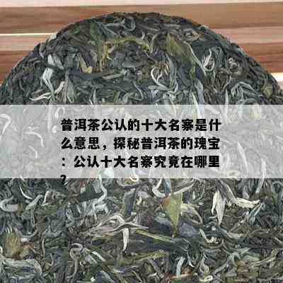 普洱茶公认的十大名寨是什么意思，探秘普洱茶的瑰宝：公认十大名寨究竟在哪里？