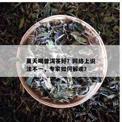 夏天喝普洱茶好？网络上说法不一，专家如何解读？