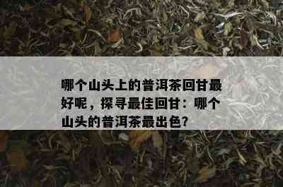 哪个山头上的普洱茶回甘更好呢，探寻更佳回甘：哪个山头的普洱茶最出色？