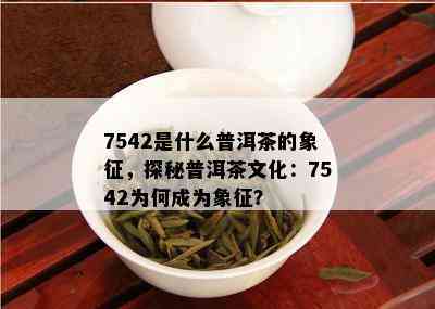 7542是什么普洱茶的象征，探秘普洱茶文化：7542为何成为象征？