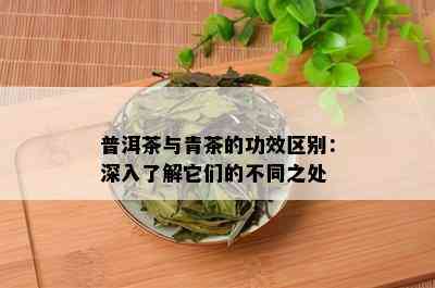 普洱茶与青茶的功效区别：深入了解它们的不同之处