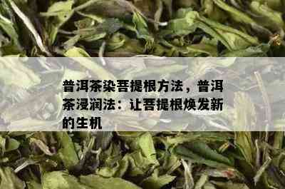 普洱茶染菩提根方法，普洱茶浸润法：让菩提根焕发新的生机