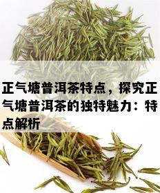 正气塘普洱茶特点，探究正气塘普洱茶的独特魅力：特点解析