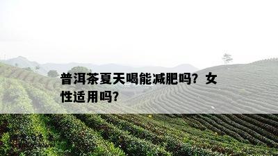 普洱茶夏天喝能减肥吗？女性适用吗？