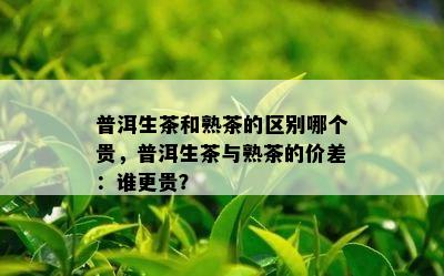 普洱生茶和熟茶的区别哪个贵，普洱生茶与熟茶的价差：谁更贵？