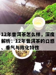 12年普洱茶怎么样，深度解析：12年普洱茶的口感、香气与陈化特性