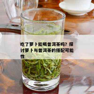 吃了萝卜能喝普洱茶吗？探讨萝卜与普洱茶的搭配可能性