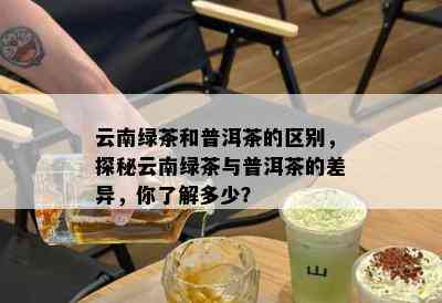 云南绿茶和普洱茶的区别，探秘云南绿茶与普洱茶的差异，你了解多少？