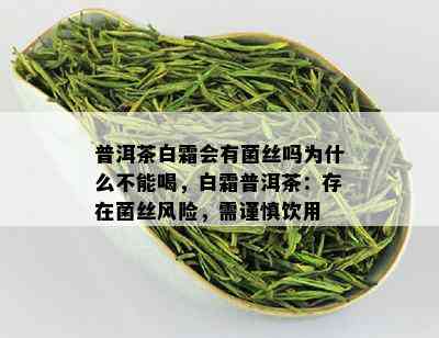 普洱茶白霜会有菌丝吗为什么不能喝，白霜普洱茶：存在菌丝风险，需谨慎饮用