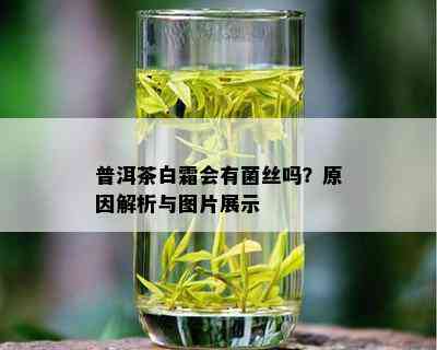 普洱茶白霜会有菌丝吗？原因解析与图片展示