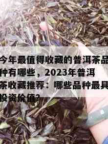 今年最值得收藏的普洱茶品种有哪些，2023年普洱茶收藏推荐：哪些品种更具投资价值？