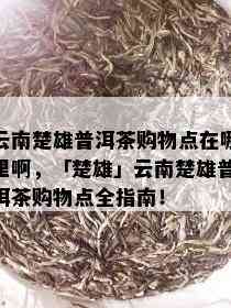 云南楚雄普洱茶购物点在哪里啊，「楚雄」云南楚雄普洱茶购物点全指南！