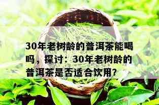 30年老树龄的普洱茶能喝吗，探讨：30年老树龄的普洱茶是否适合饮用？