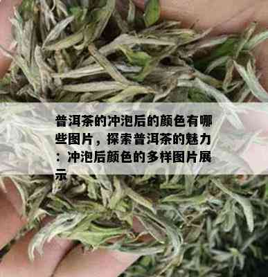 普洱茶的冲泡后的颜色有哪些图片，探索普洱茶的魅力：冲泡后颜色的多样图片展示