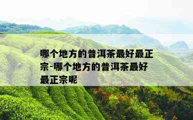 哪个地方的普洱茶更好最正宗-哪个地方的普洱茶更好最正宗呢