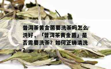 普洱茶黄金菌要洗茶吗怎么洗好，「普洱茶黄金菌」是否需要洗茶？如何正确清洗？