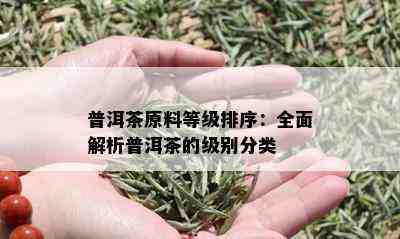 普洱茶原料等级排序：全面解析普洱茶的级别分类