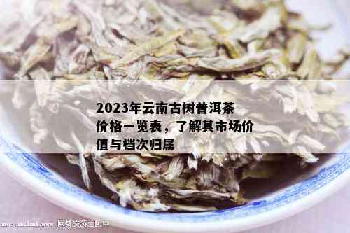 2023年云南古树普洱茶价格一览表，了解其市场价值与档次归属