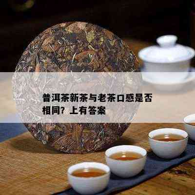 普洱茶新茶与老茶口感是否相同？上有答案