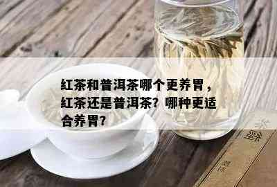 红茶和普洱茶哪个更养胃，红茶还是普洱茶？哪种更适合养胃？