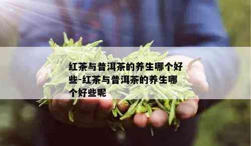 红茶与普洱茶的养生哪个好些-红茶与普洱茶的养生哪个好些呢