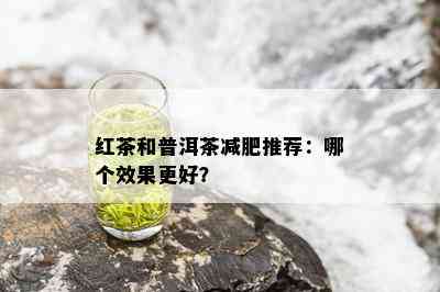 红茶和普洱茶减肥推荐：哪个效果更好？