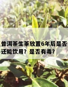 普洱茶生茶放置6年后是否还能饮用？是否有？