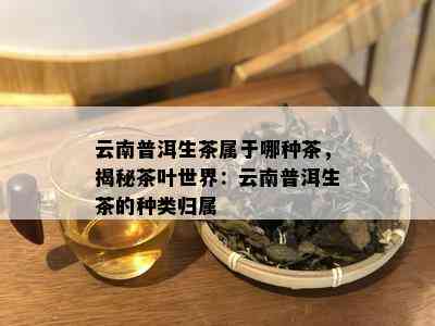 云南普洱生茶属于哪种茶，揭秘茶叶世界：云南普洱生茶的种类归属