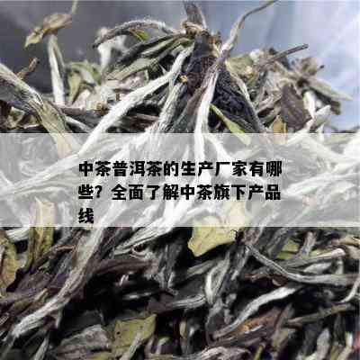 中茶普洱茶的生产厂家有哪些？全面了解中茶旗下产品线