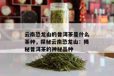 云南恐龙山的普洱茶是什么茶种，探秘云南恐龙山：揭秘普洱茶的神秘品种